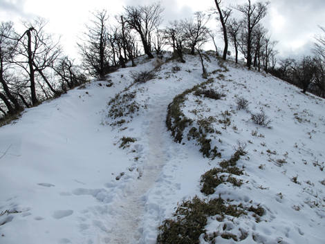 20170118hike (368)